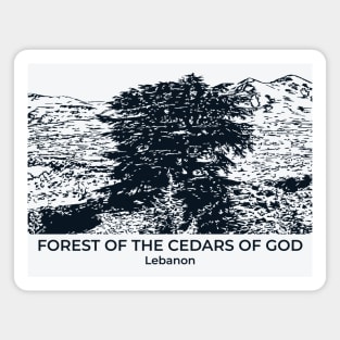 Forest of the Cedars of God - Lebanon Magnet